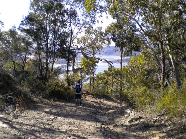 Ray approaching the Hawkesbury River