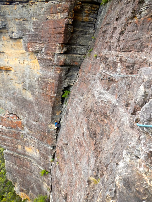 (Big Bad) Baz on Sweet Dream, Blue Mountains, Australia
