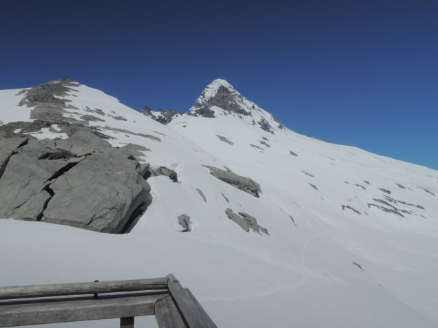 Mt Aspiring - viewed from Colin Todd Hut