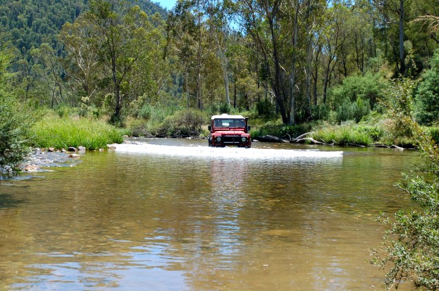 Red Rover - no show pony