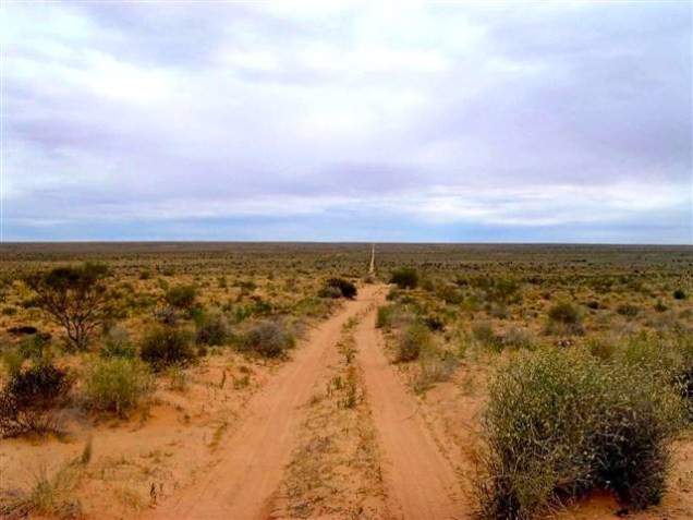 Simpson Desert, disappearing into the horizon