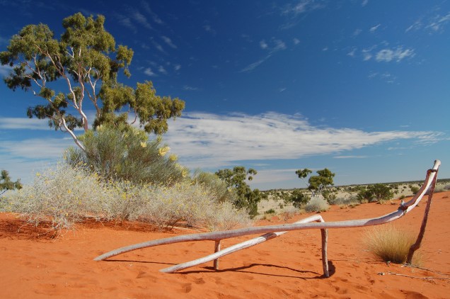 Welford NP Sand Dune 1