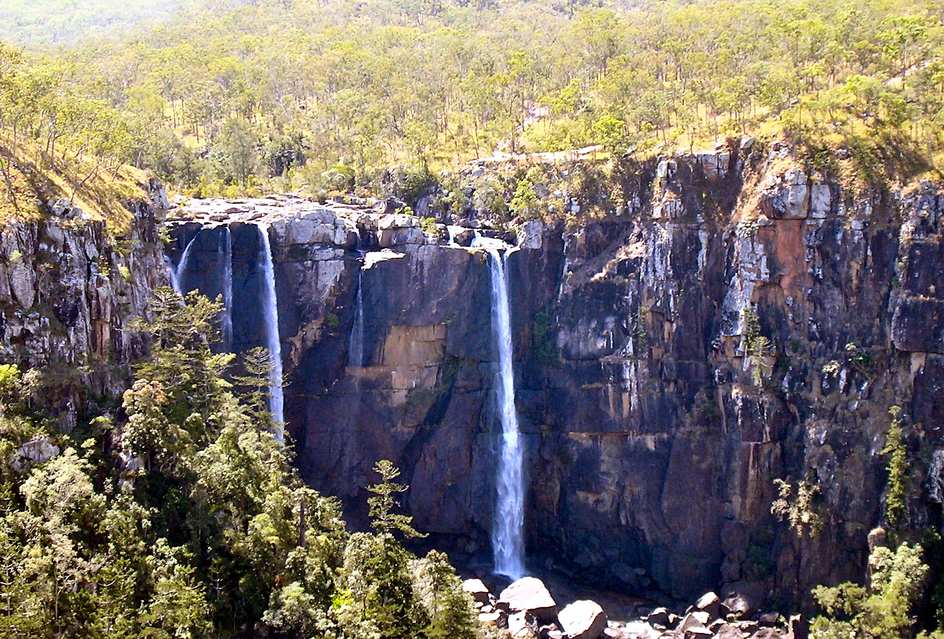 Rugged Beauty - In the Australian Bush