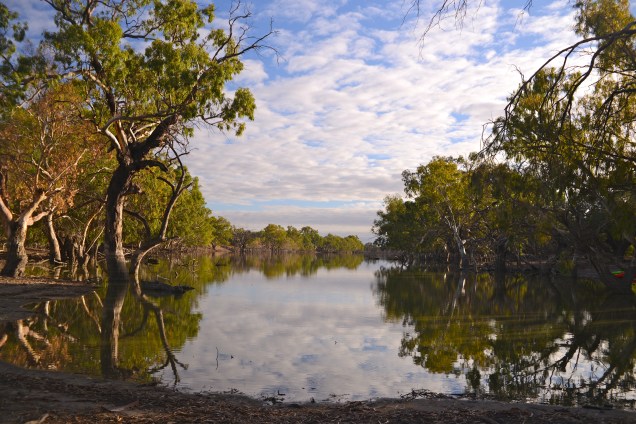 By the Billabong - Trilby Station (Outback Australia)