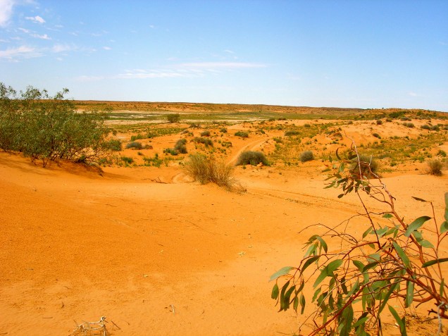 Coongie Lake, Desert Country, Outback Australia