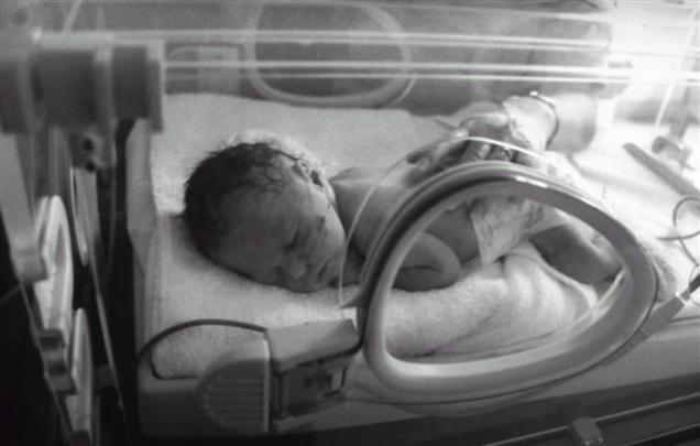 TomO - The Birthday Boy