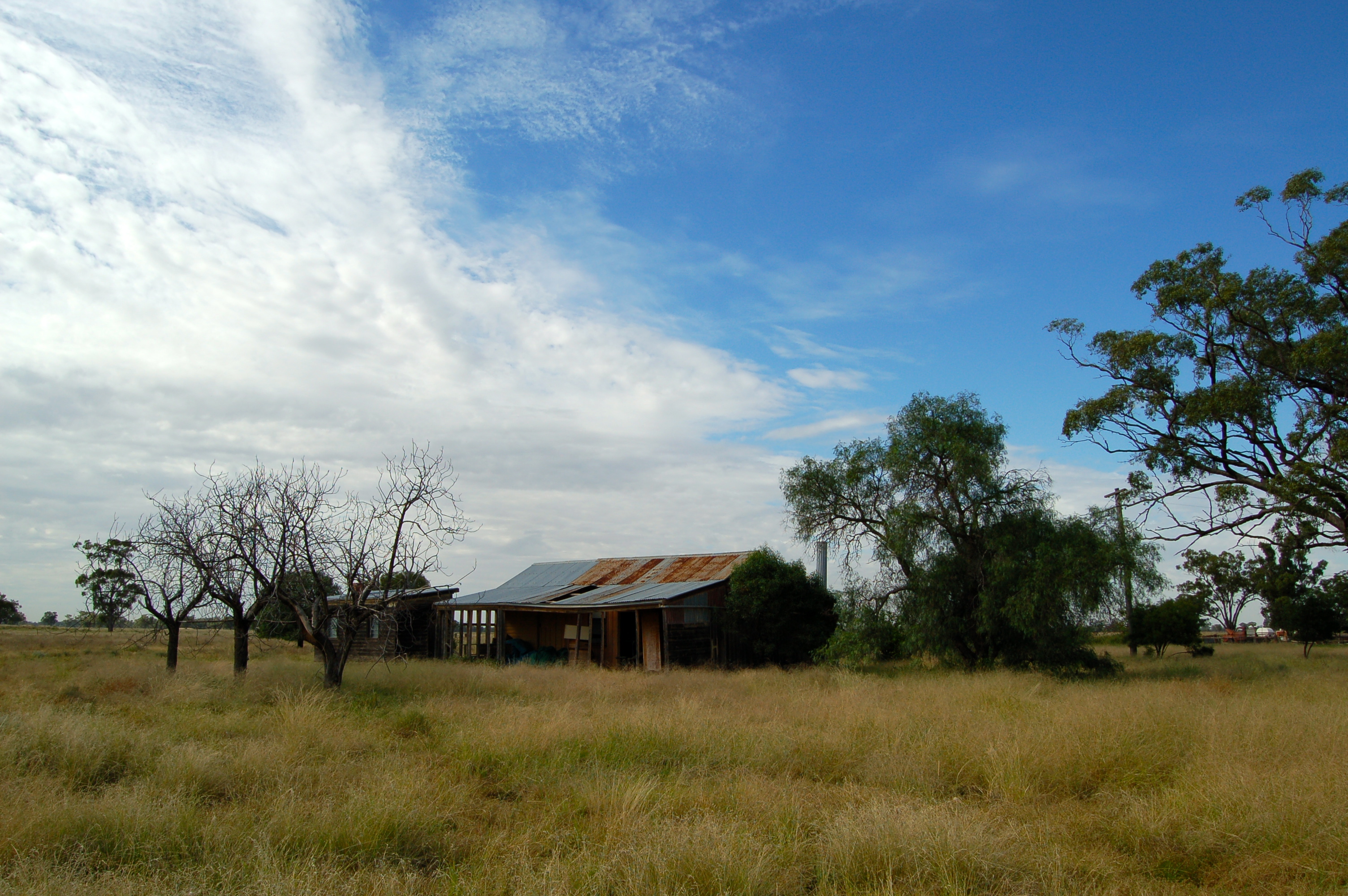 Grasslands of the Western Plains (Outback Australia)
