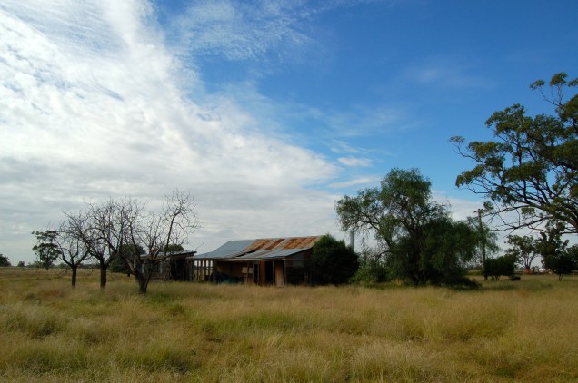 Grasslands of the Western Plains (Outback Australia)