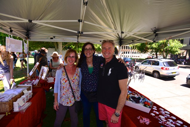 Tim Owen, Member of Parliament