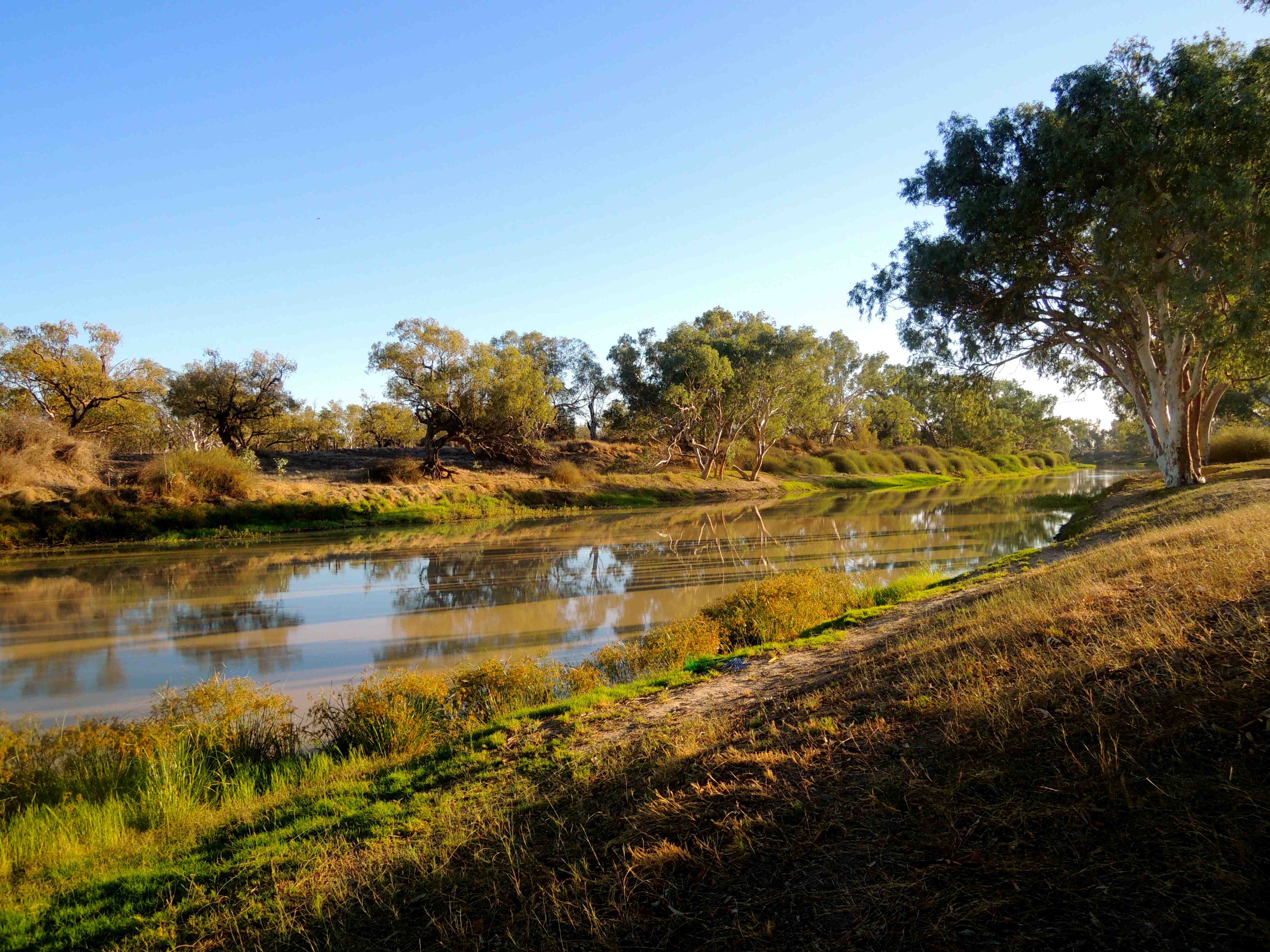 Cooper Creek, Outback Australia