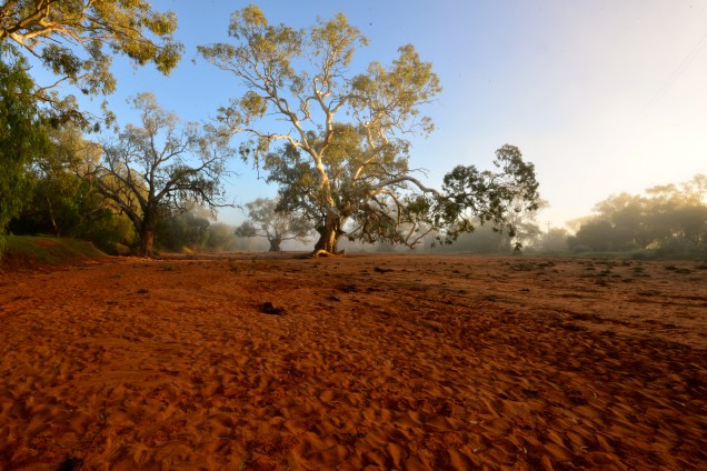 Along the Creek Bed (Outback Australia)