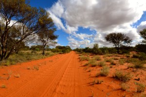 The Great Victoria Desert