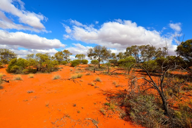 Outback Australia