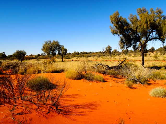 Central Australia