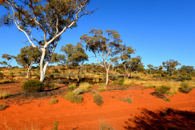 Anne Beadell Highway