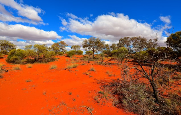 Anne Beadell Highway