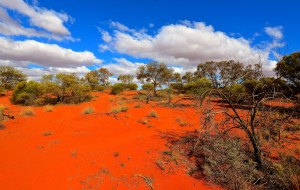 Anne Beadell Highway