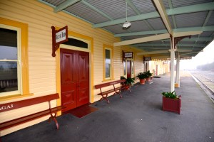 Dog on the Tuckerbox