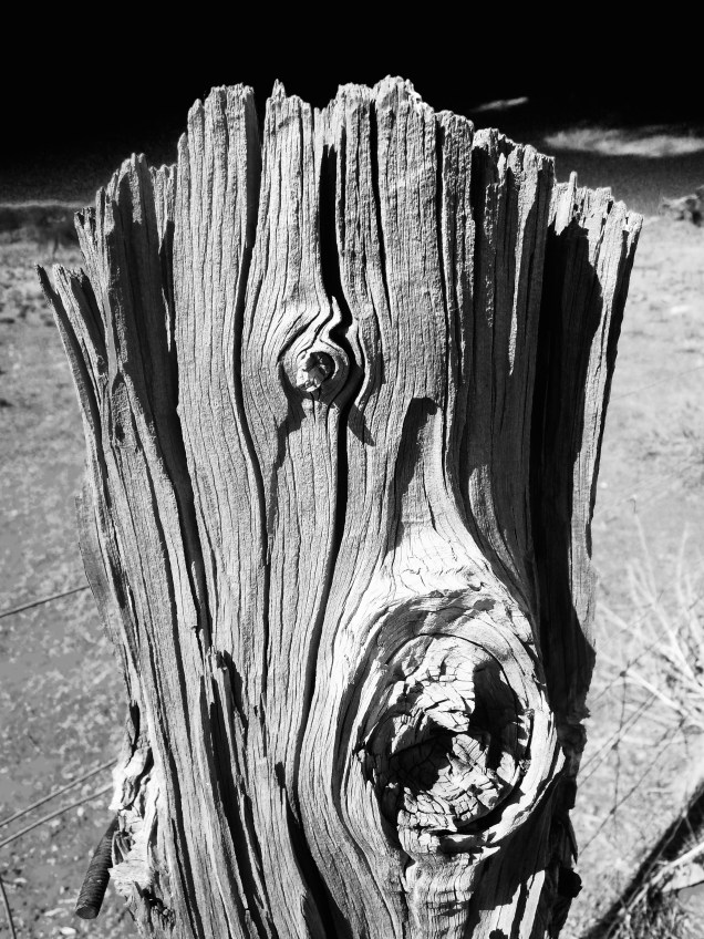 Mutawintji National Park