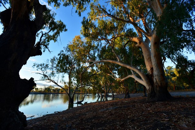 Australian waterhole