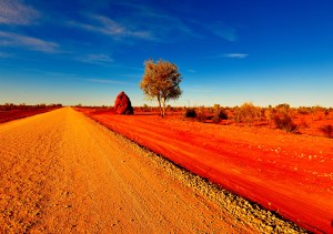 Termite Mound