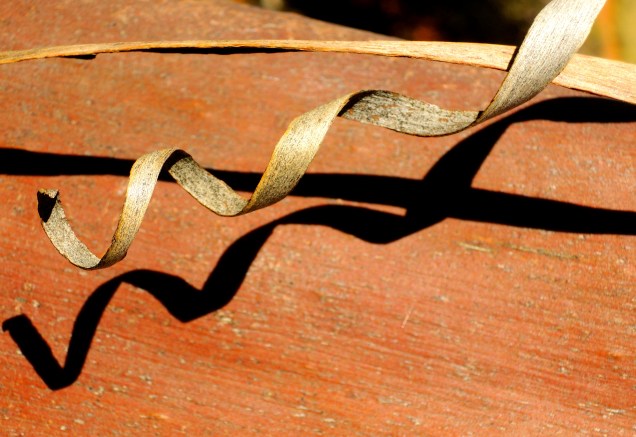 Anne Beadell Highway