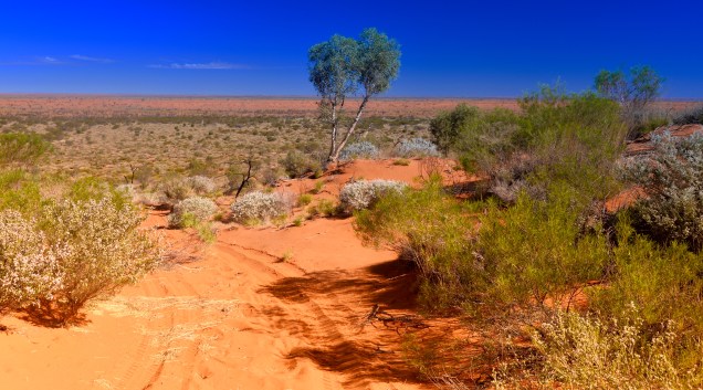 Outback Australia