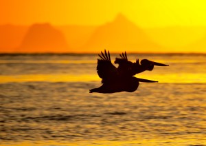 glasshouse mountains