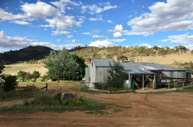 Bush Heritage Australia