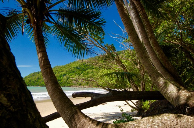 Cow Bay, Cape Tribulation